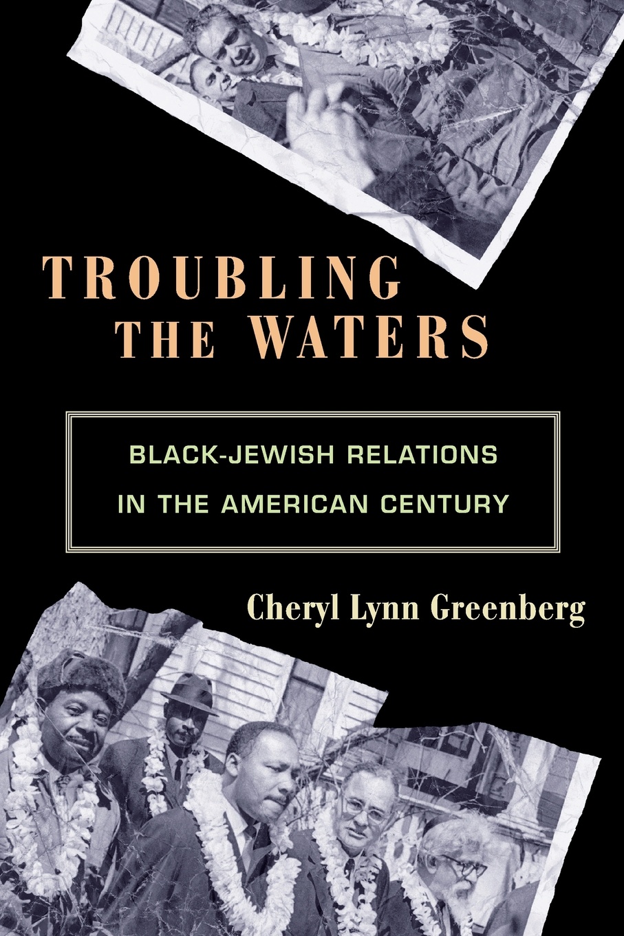 Troubling the Waters. Black-Jewish Relations in the American Century