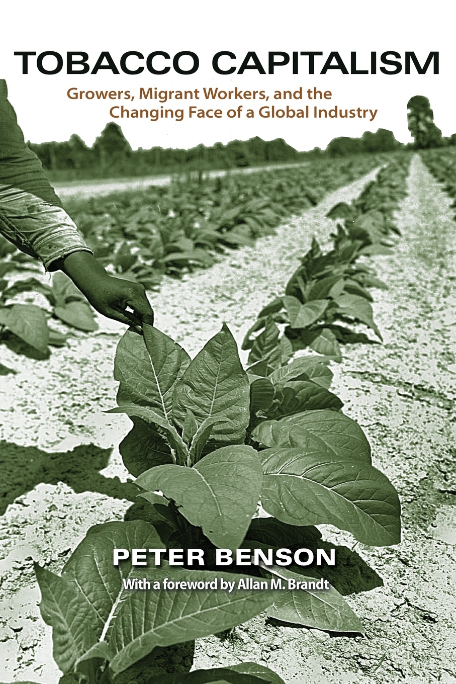 Tobacco Capitalism. Growers, Migrant Workers, and the Changing Face of a Global Industry