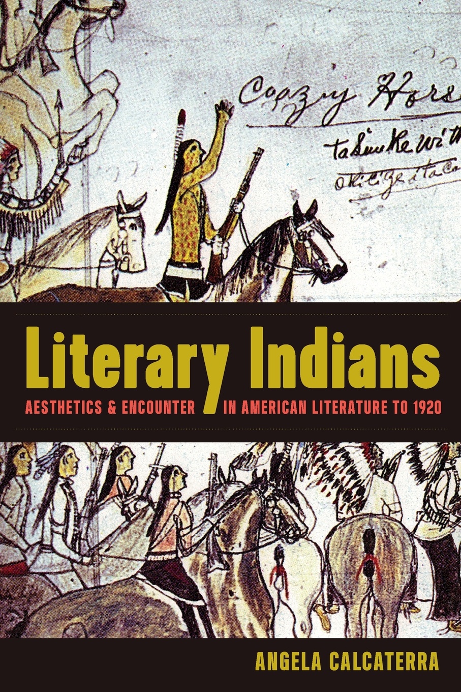 Literary Indians. Aesthetics and Encounter in American Literature to 1920