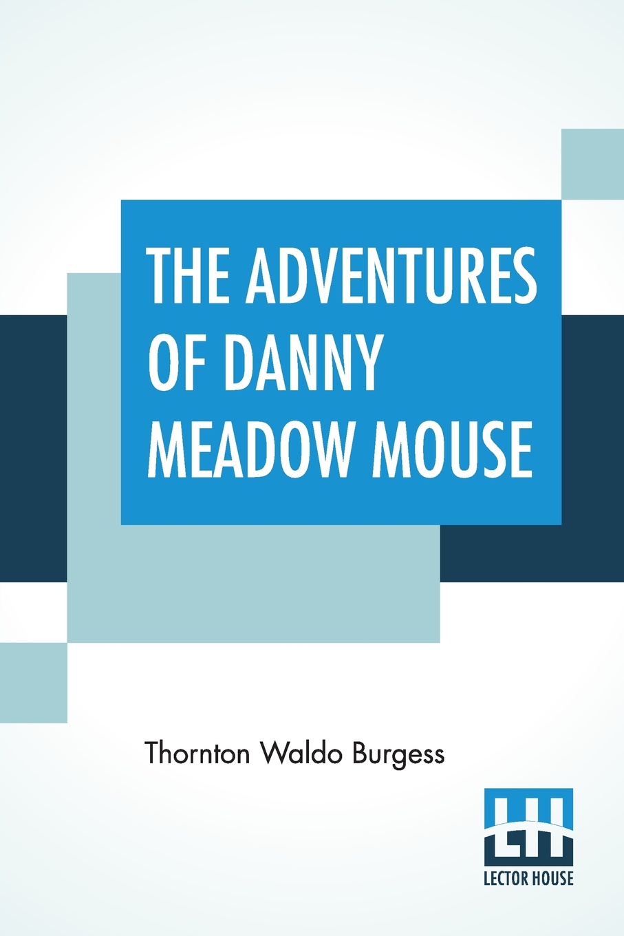 The Adventures Of Danny Meadow Mouse