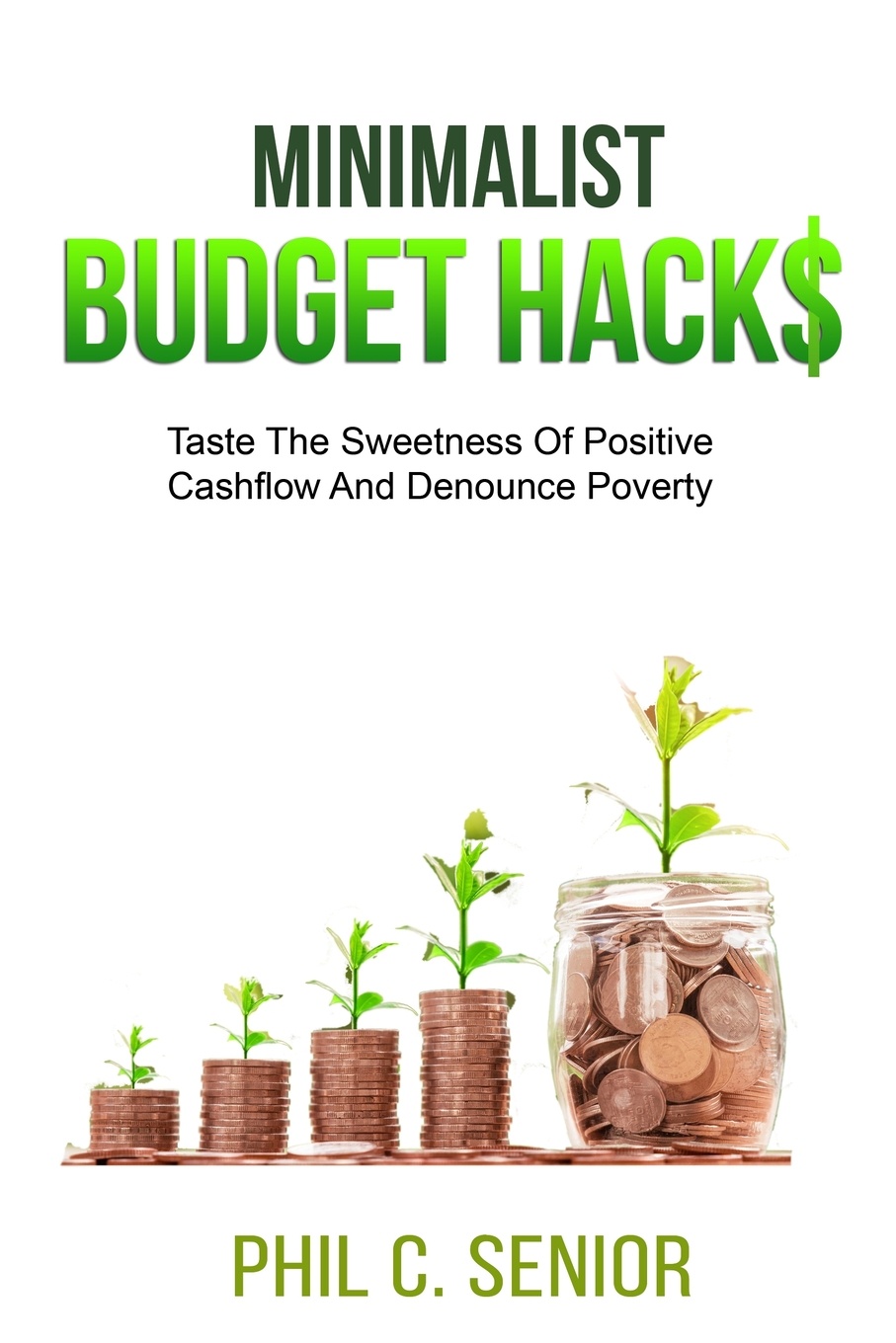 Minimalist Budget Hacks. Taste The Sweetness Of Positive Cashflow And Denounce Poverty