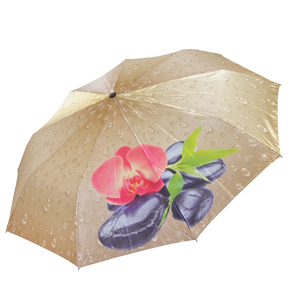Какой зонт выбрать. Зонт Zita. Зонт Zita 562. Зонт Zita Umbrella 215. Выбираем зонтик.