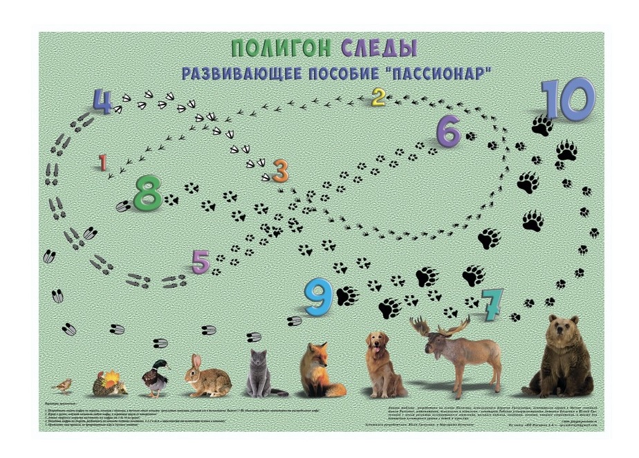 фото Комплект плакатов №1 от 2 лет (Таблица сотни, полигон животные, полигон Следы) от семьи Никитиных Ступеньки творчества