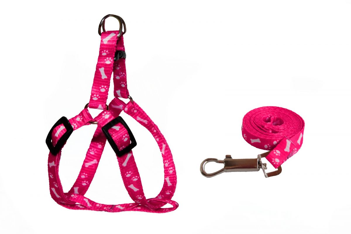 фото Шлейка для кошек и собак Doggy Dog, шлейка-поводок, розовая