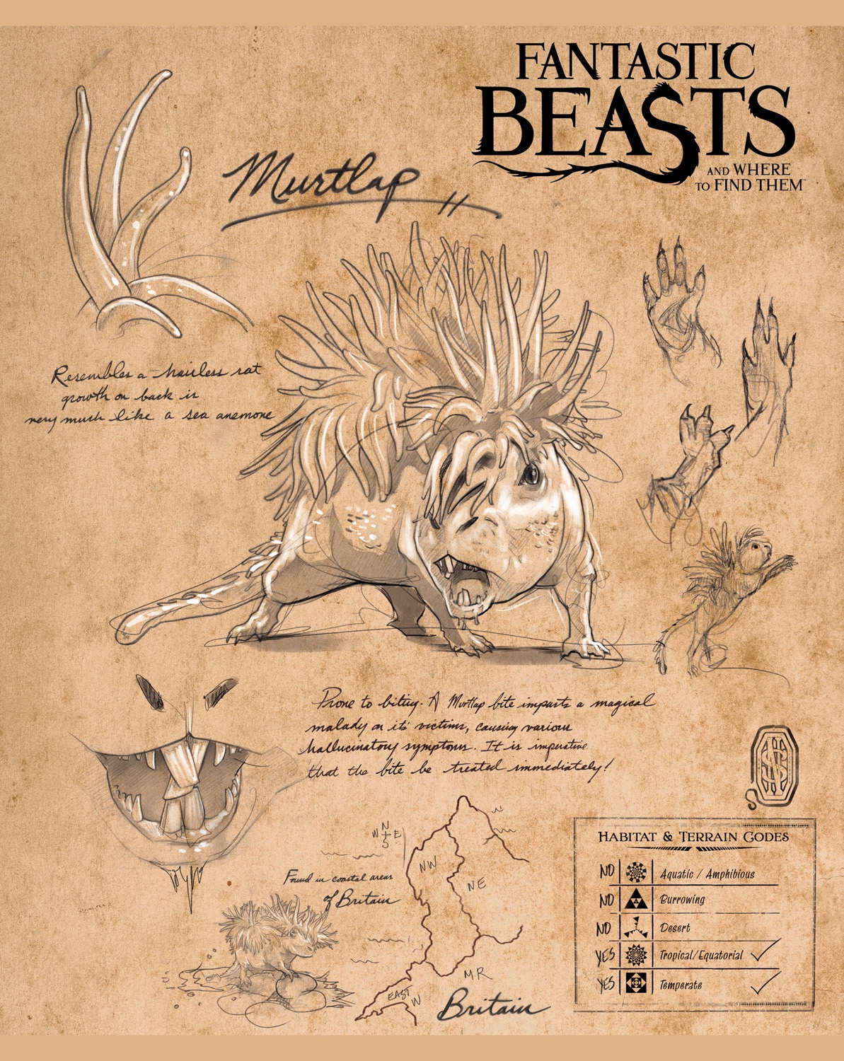 Fantastic Beasts тетрадь