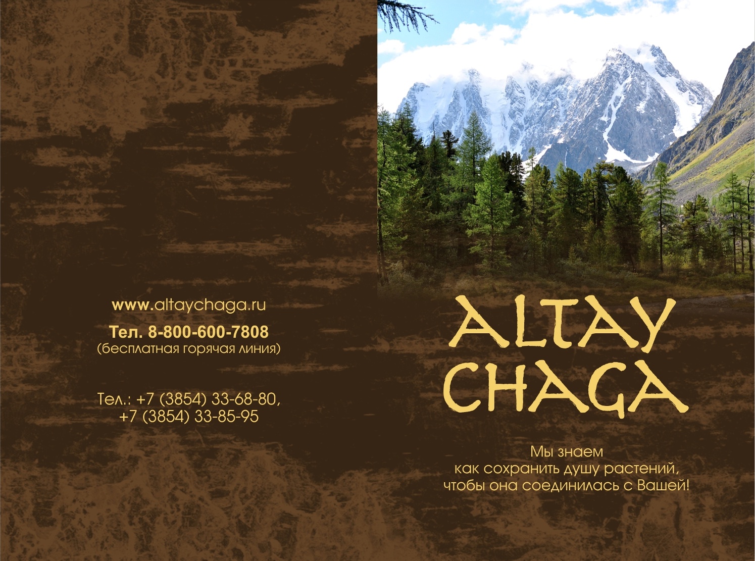 фото Напиток сухой растворимый "ALTAY CHAGA" Чага экстракт 100 %