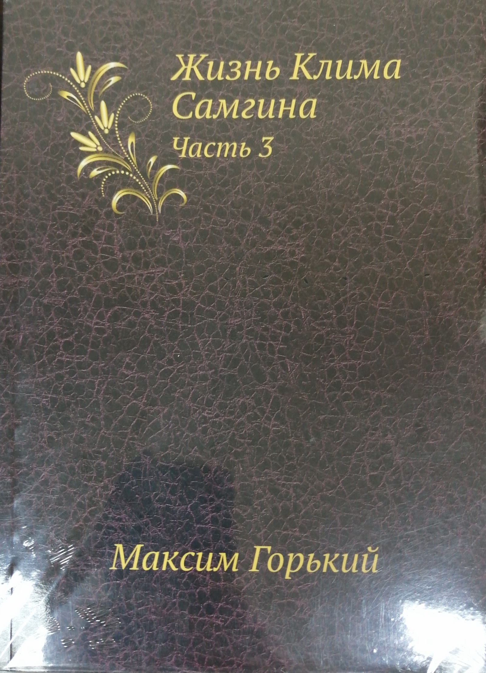 Жизнь клима самгина отзывы. Жизнь Клима Самгина книга. Книга м.Горький жизнь Клима Самгина. Алякринский. Жизнь Клима Самгина.