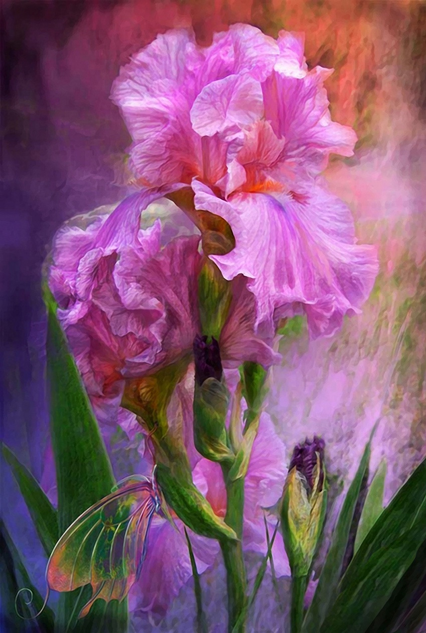 Алмазная мозаика Алмазное хобби \"Ирисы\" 40х60 — купить в интернет ...