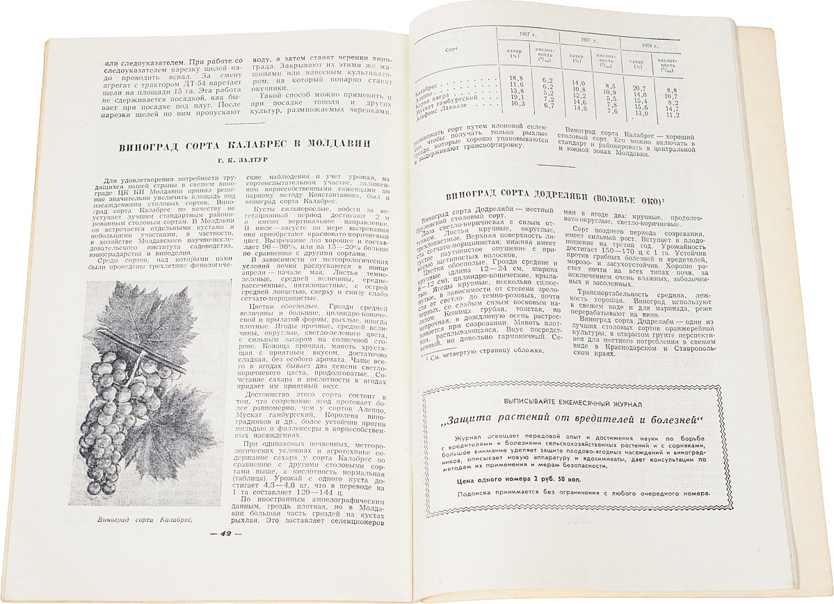 фото Журнал "Садоводство" за 1960 год (комплект из 12 журналов )