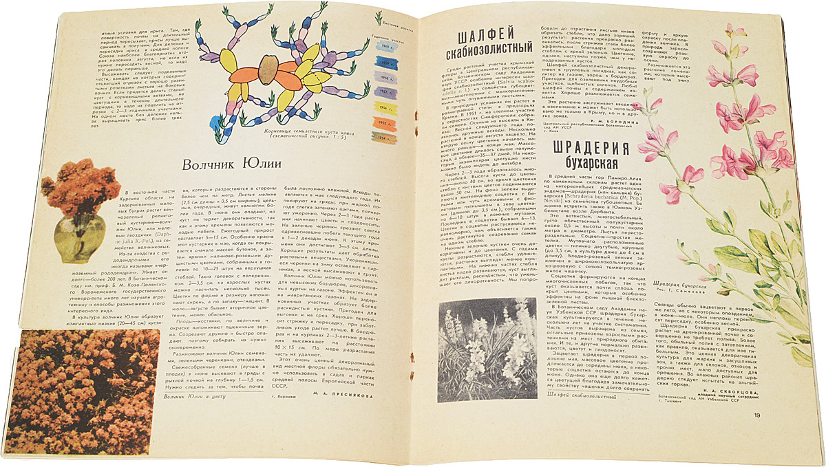 фото Журнал "Цветоводство" за 1962 год (комплект из 5 журналов )