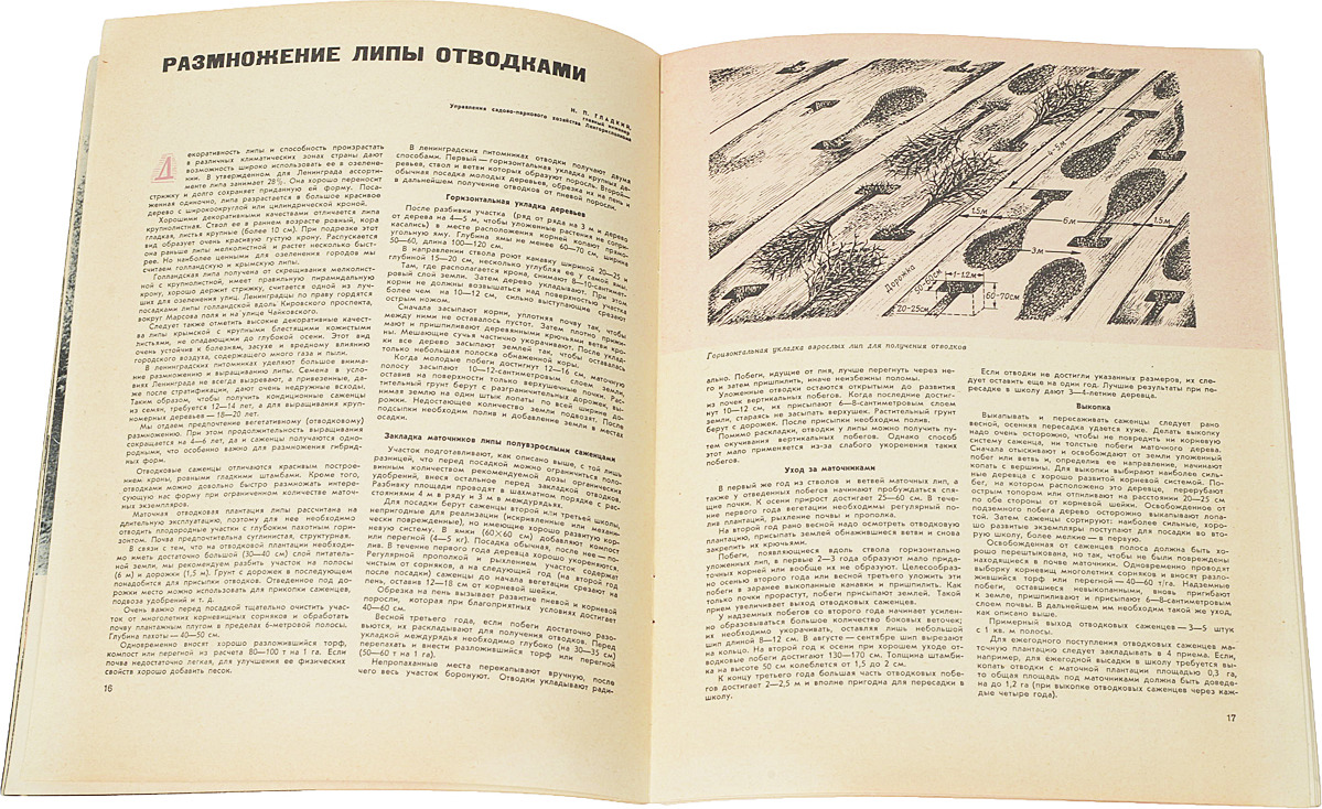 фото Журнал "Цветоводство" за 1962 год (комплект из 5 журналов )