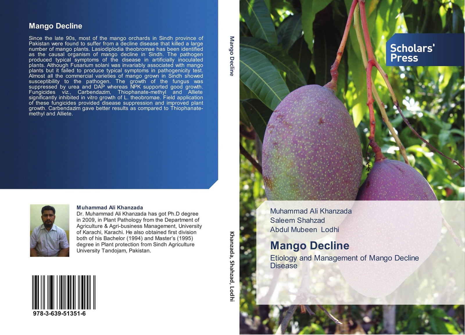 Since the late 90s, most of the <b>mango</b> orchards in Sindh province of Pakista...