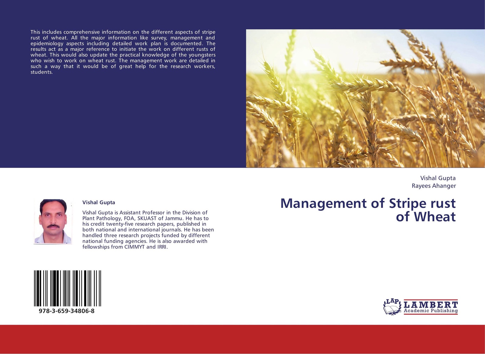 Stripe rust in wheat фото 44