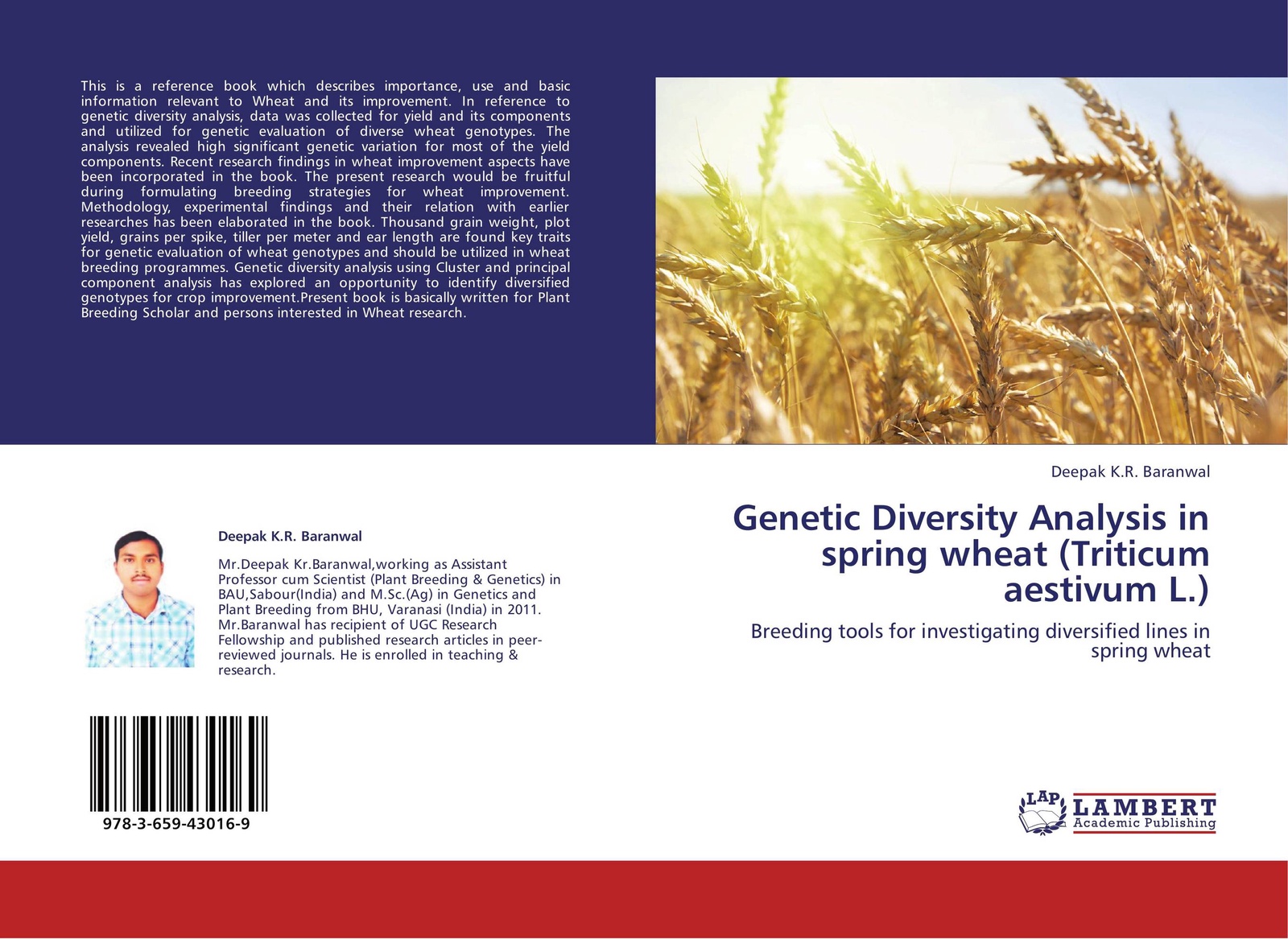 Rust disease in wheat фото 116