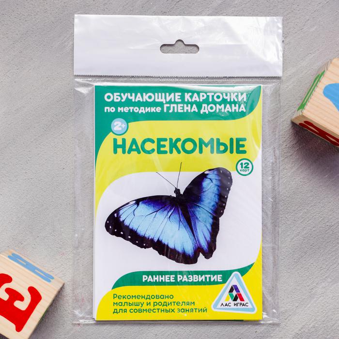 Карточки домана насекомые. Насекомые. Обучающие карточки. Насекомые. Набор карточек. Глена Домана насекомые.