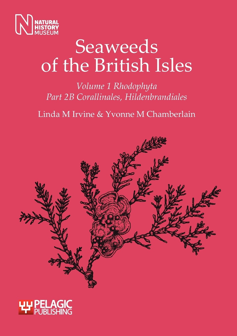 Seaweeds of the British Isles. Corallinales, Hildenbrandiales