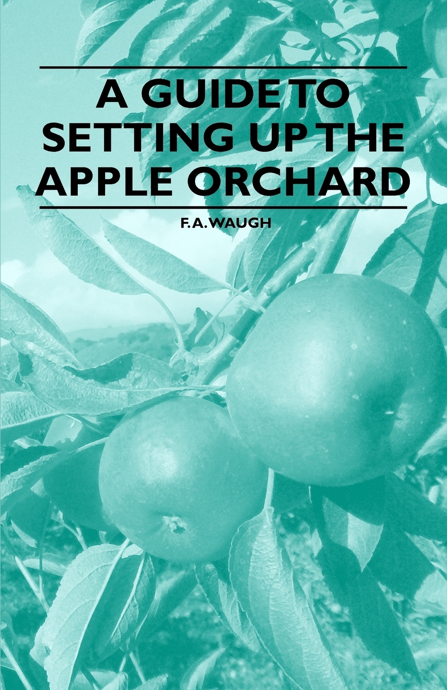 A Guide to Setting Up the Apple Orchard