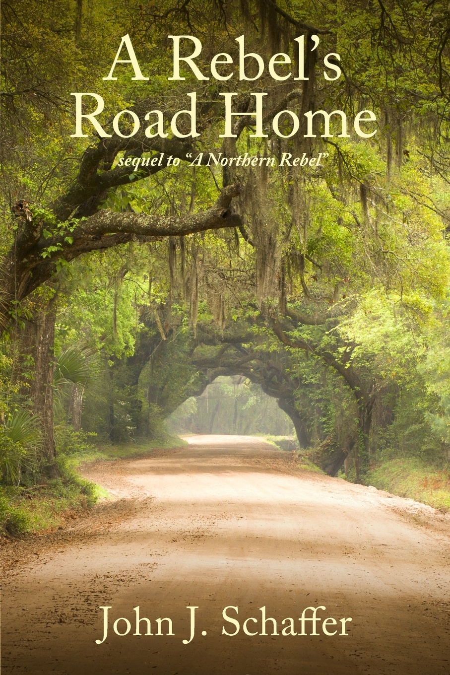 A Rebel`s Road Home. Sequel to A Northern Rebel