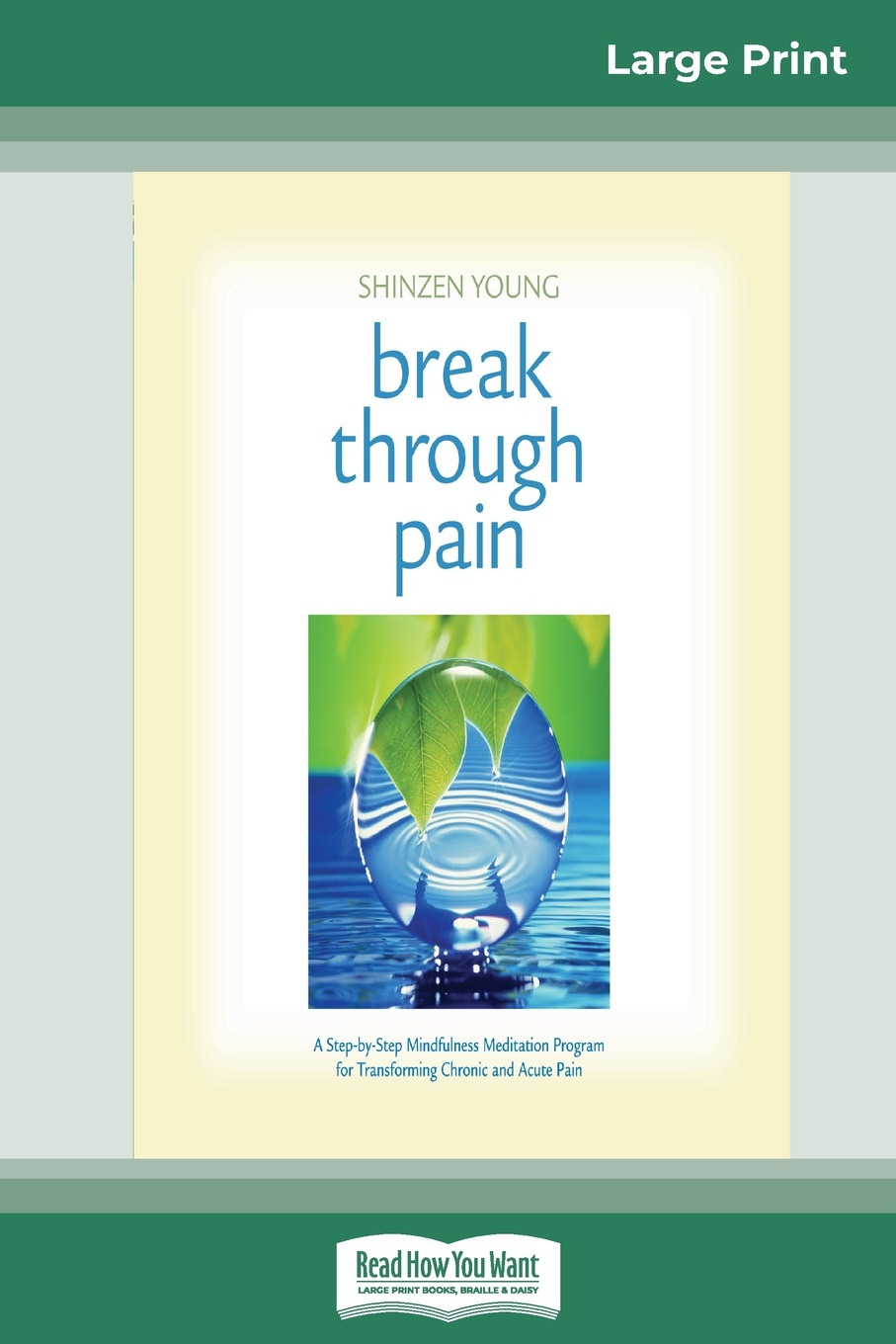 Break Through Pain. A Step-by-Step Mindfulness Meditation Program for Transforming Chronic and Acute Pain (16pt Large Print Edition)