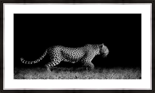 фото Картина в багете 50x30 см "Леопард ночью" Экорамка BE-103-329