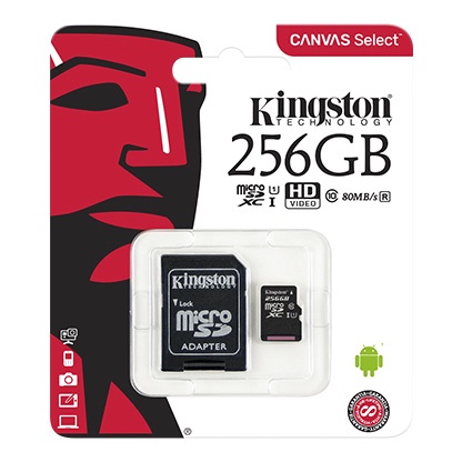 фото Карта памяти MicroSDXC 256GB Kingston Class 10 Canvas Select UHS-I U1 + SD адаптер