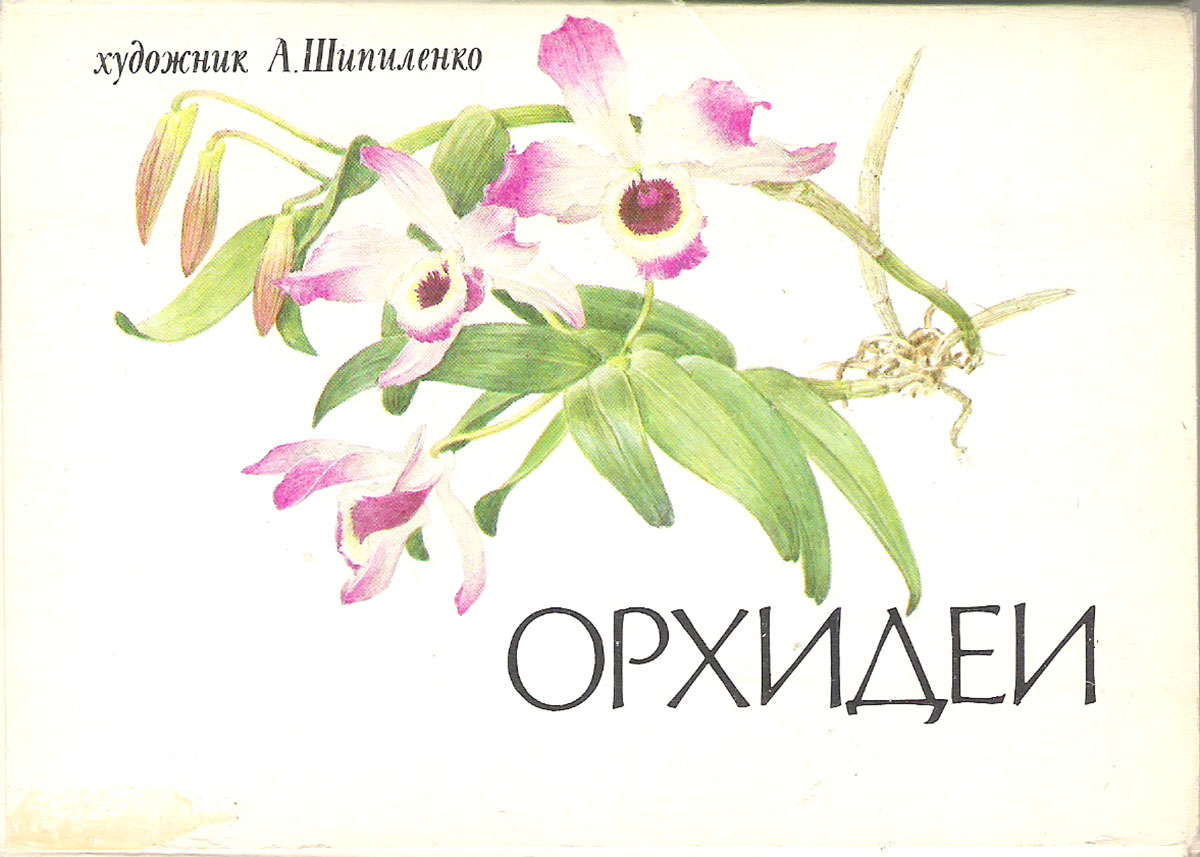 фото Орхидеи. Выпуск 1 (набор из 16 открыток) Изобразительное искусство