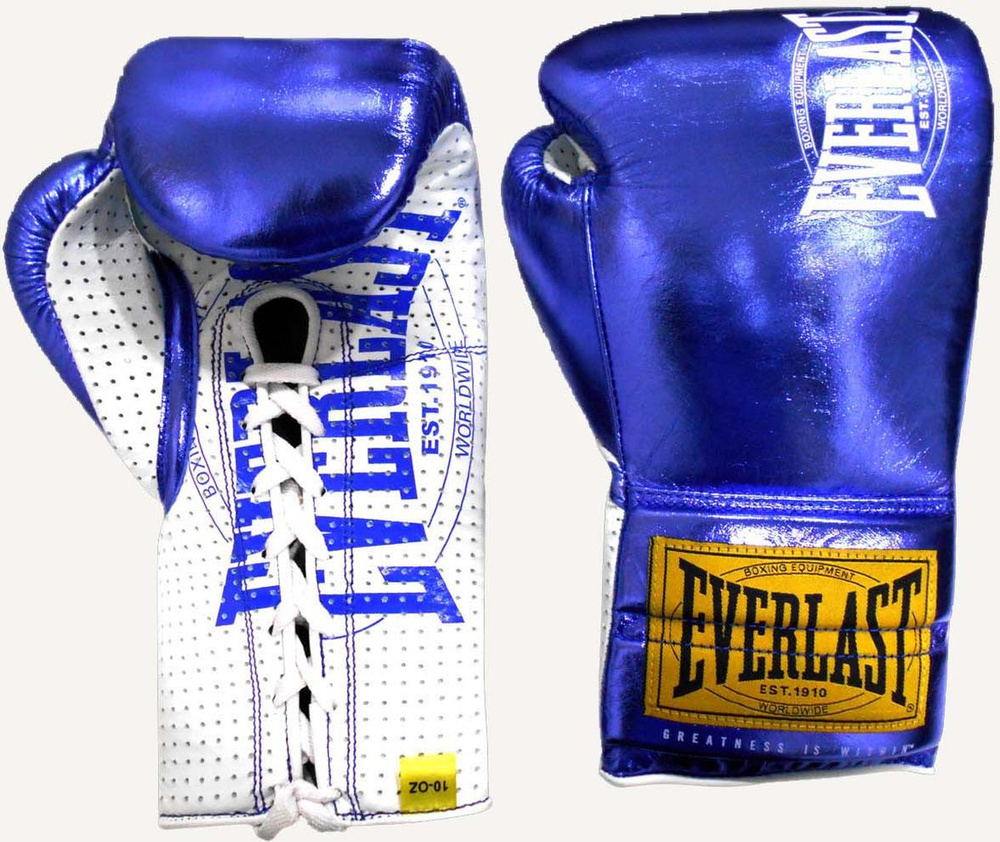 everlast sporting goods