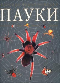 Пауки: Виды. Строение. Поведение #1