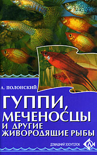 Рыбы Живородящие Фото