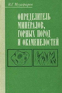 Определитель окаменелостей по фото