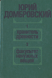 Домбровский факультет ненужных вещей презентация