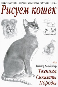Новая Песня Ирины Вальтер 2022 Года Новая Песня Ирины Вальтер 2022 Года