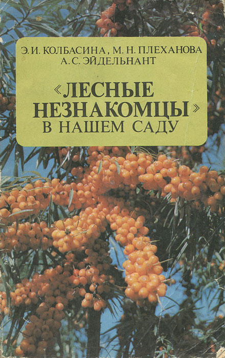 Плеханова м н. Лесные незнакомцы в нашем саду. Незнакомцы в вашем саду. Плеханова м. н облепиха.