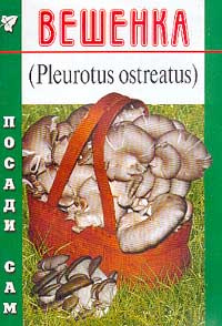 Вешенка (Pleurotus ostreatus). Серия: Посади сам #1