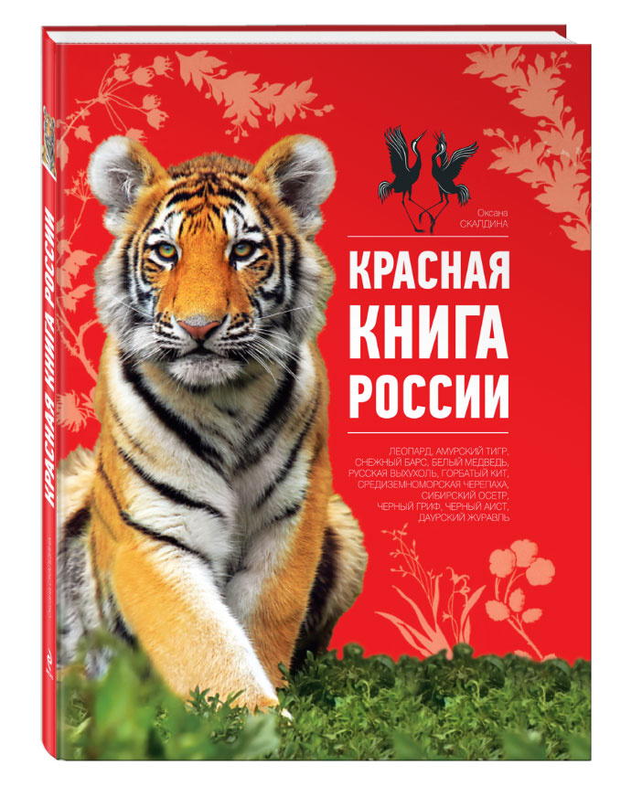 Краснокнижные Животные России Фото