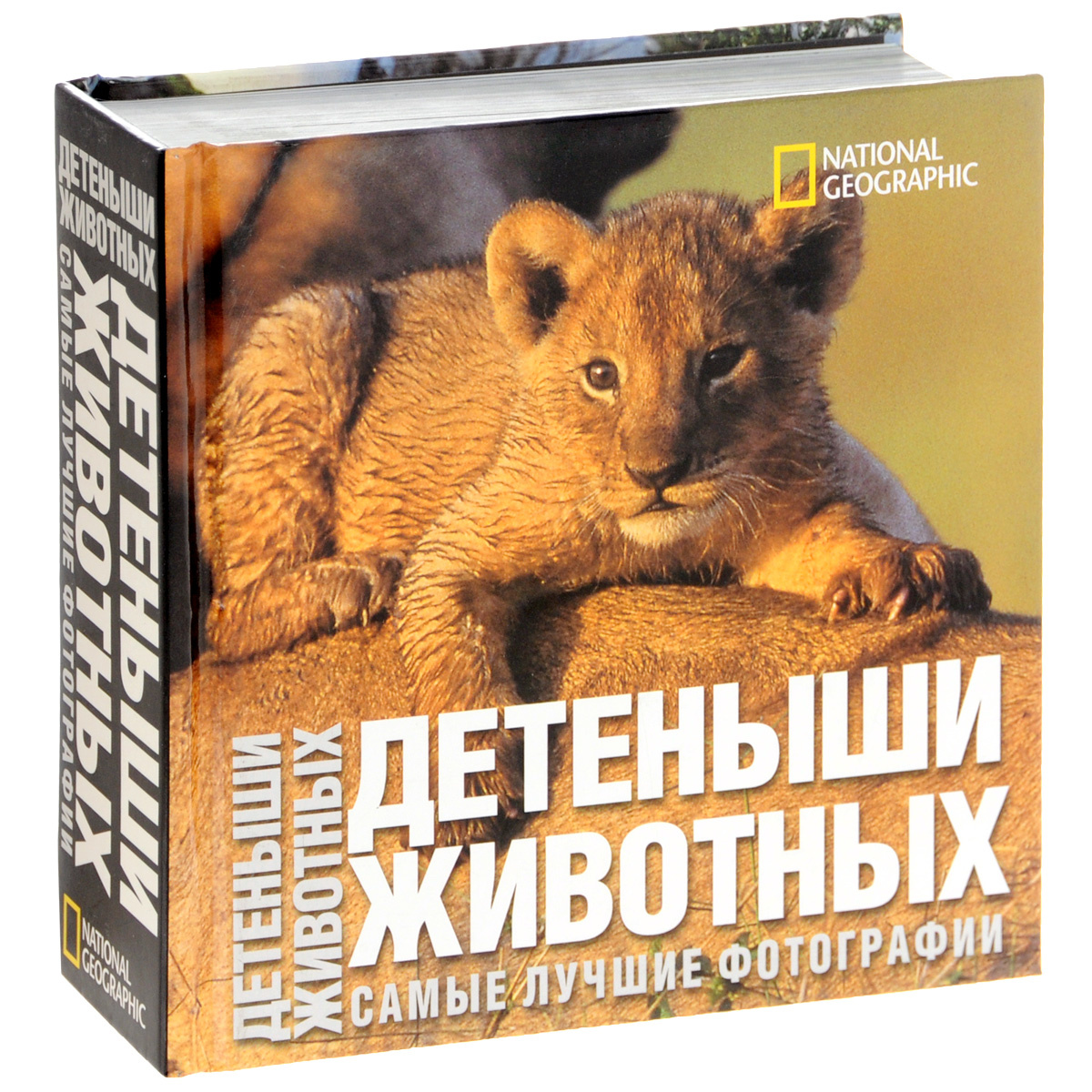 Книга Самые Лучшие Фотографии