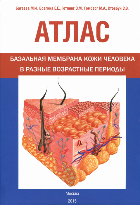 Атлас. Базальная мембрана кожи человека в разные возрастные периоды | Стовбун С. В., Гомберг М. А.  #1