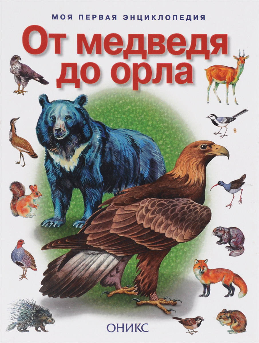 Новогодний Выпуск Орла