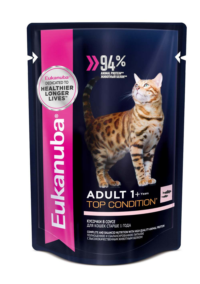 eukanuba cat