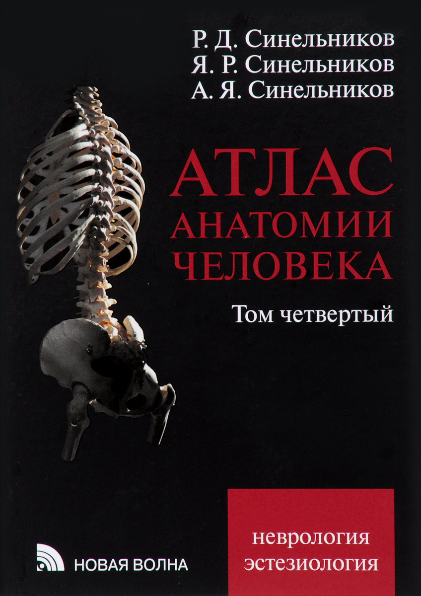 Книга "Атлас анатомии человека. В 4 томах. Том 4. Учение о нервной ...