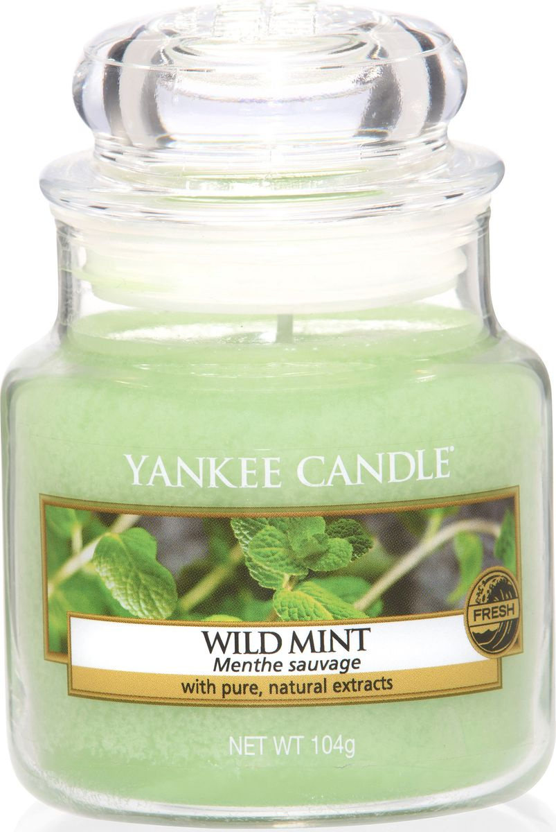 Ароматическая свеча Yankee Candle "Дикая мята / Wild Mint", 2545 ч