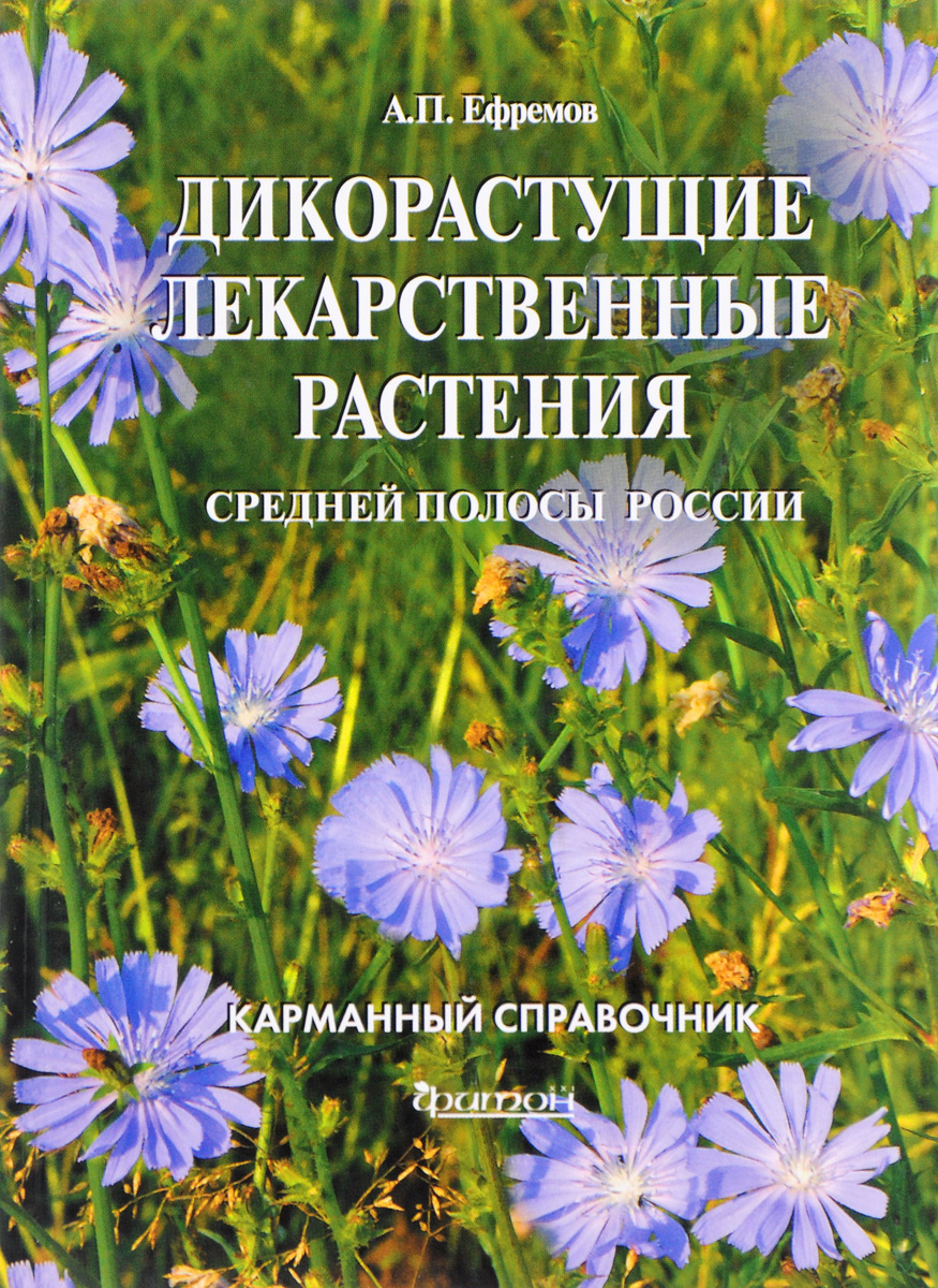 Дикорастущие лианы средней полосы россии фото