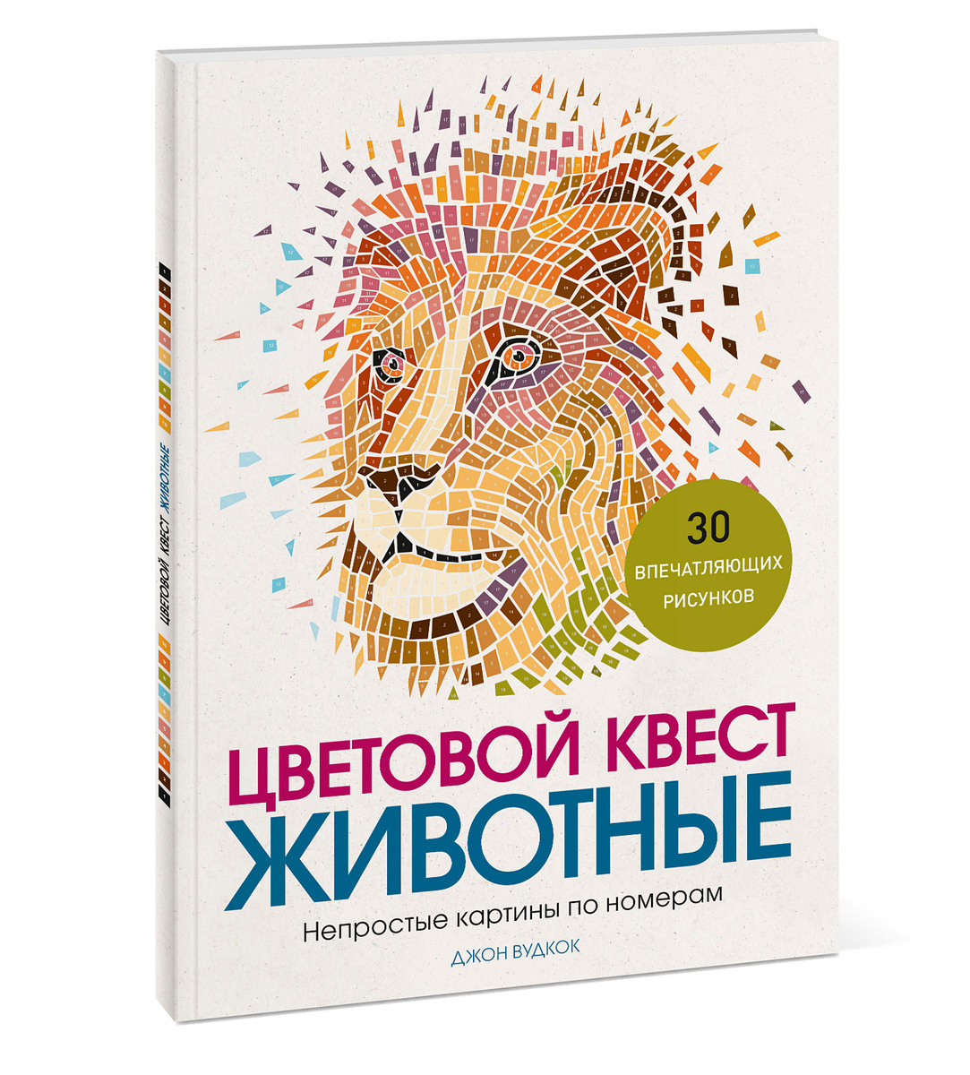 Цветовой Квест Новогоднее Чудо Купить В Москве Цветовой Квест Новогоднее Чудо Купить В Москве