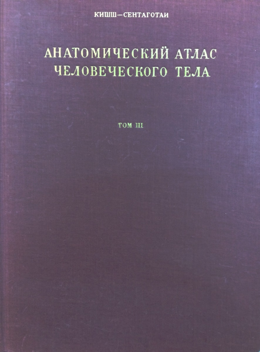 У ани есть электронная книга атлас человеческого тела какую информацию из приведенной она сможет