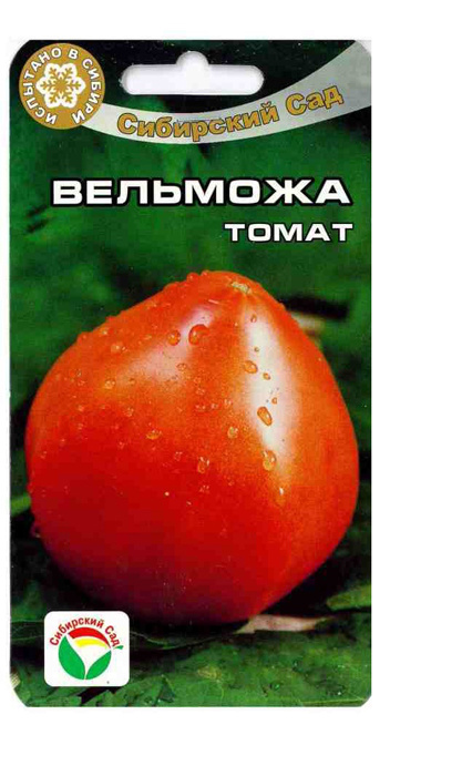 Томат Вельможа Фото