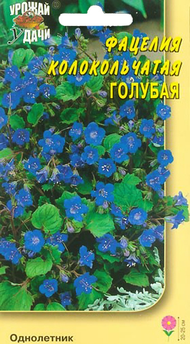 Фацелия Семена Магазин