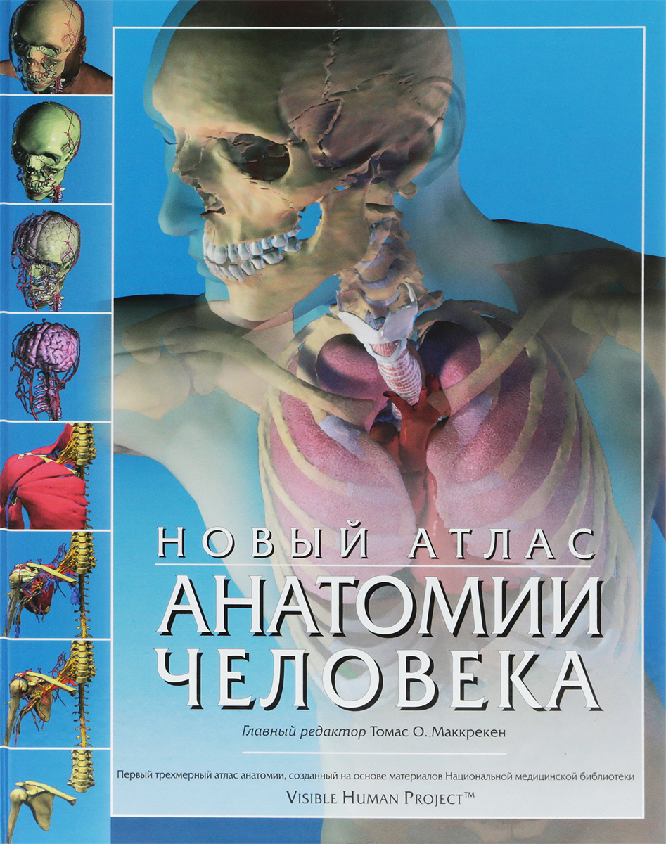 Новый атлас анатомии человека #1