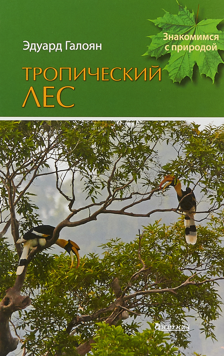 Лес Встречает Новый Год