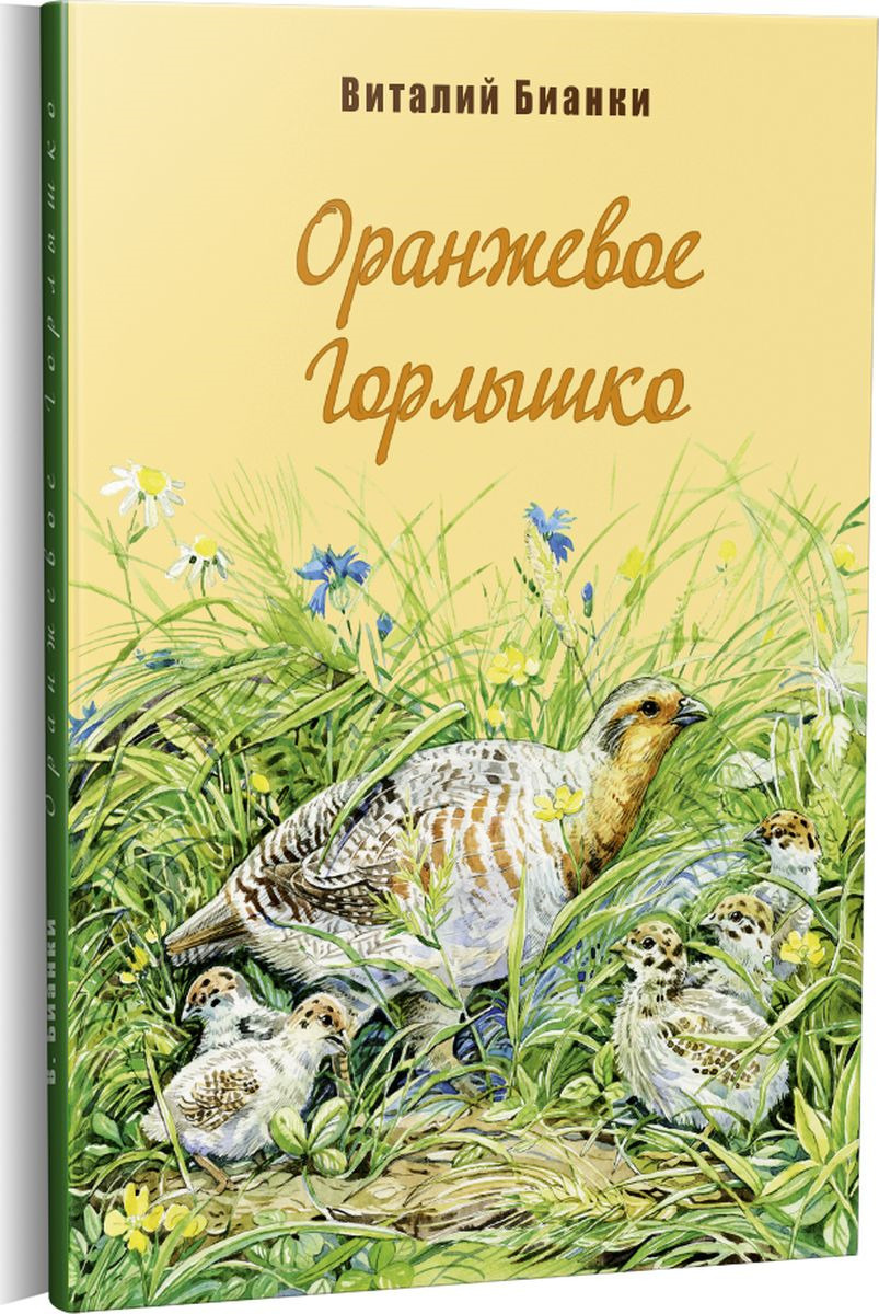 План оранжевое горлышко