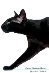 Oriental Shorthair Affirmations Workbook Oriental Shorthair Presents. Positive and Loving Affirmations Workbook. Includes: Mentoring Questions, Guidance, Supporting You.